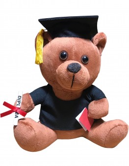 GRADUATION TEDDY BEAR