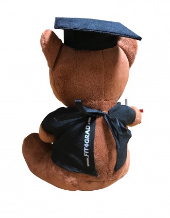 graduation teddy bear