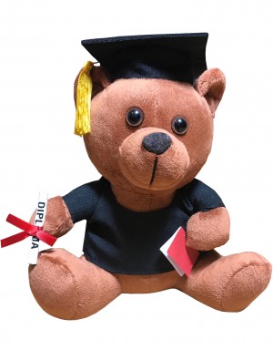 Graduation Teddy Bär